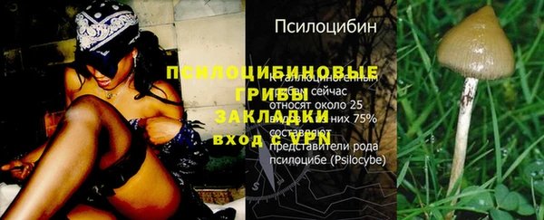 соль курить ск Алексеевка
